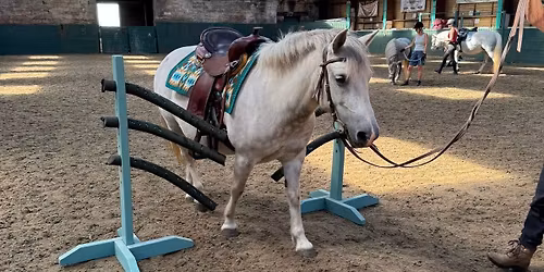 Ledston (Castleford) Obstacle\/Agility Training