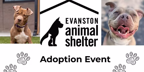 Paws & Pastries: Adoption Event at Bennison's Bakery