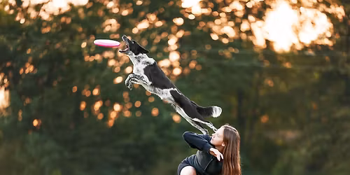 Seminarium dogfrisbee z Wiktori\u0105 \u015awito\u0144 \ud83d\udd25