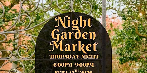 Open Aire Night Market