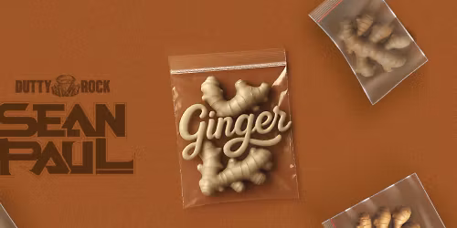 Sean Paul, Flo Rida, Alle Farben, ZAH1DE in Hannover