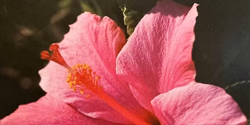 2026 House and Garden Tour