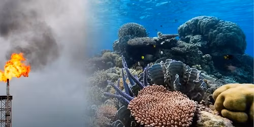 AGM Protest to STOP WOODSIDE and SAVE SCOTT REEF