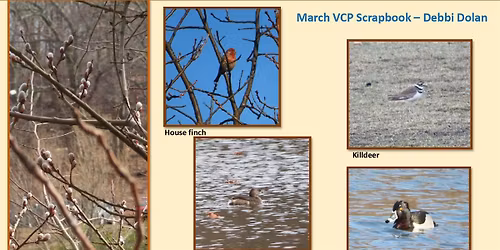 VCP Nature Group Walk