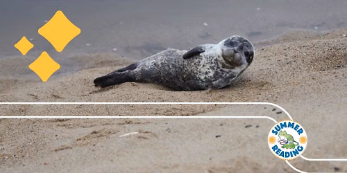 A Seal's Journey
