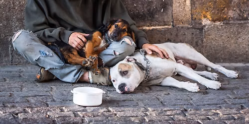 Street Dawg Crew of Utah Pet Food Outreach