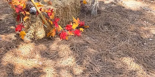 Scarecrow Fest: Costume Day & Native Plant Sale