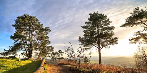 HIKE 18km Canals, Sandy Trails and Medieval Churches of the Surrey Hills Woods