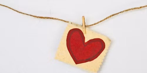 Investigating Life Vows