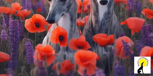 Remembrance Walk with Fred