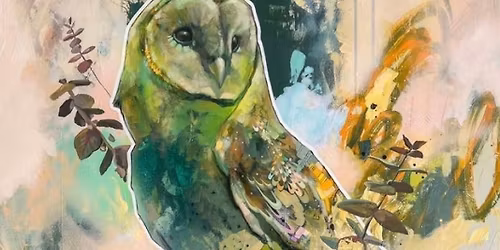 Owl Art