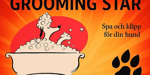 ny\u00f6ppningsmingel