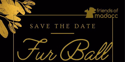 2027 Fur Ball Gala