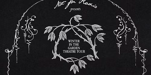 Not For Radio at Paramount Theatre Seattle