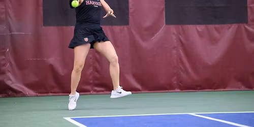 Harvard Crimson at UMass Minutewomen Womens Basketball