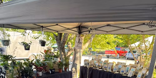 Roots Rock & Rituals @ Salado Farmers Market