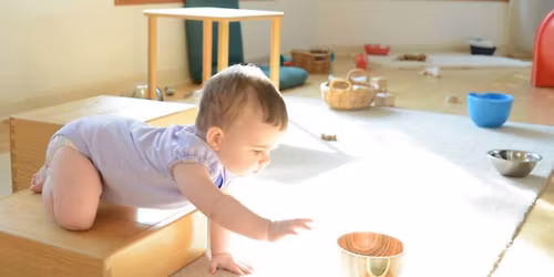 Little Learners Lodge Study Tour