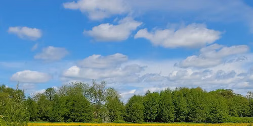 Mindful Nature Walk at Longrun Meadow