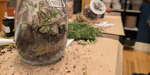 Spooky Terrarium Workshop and Wine Tasting with Penumbra & Wine on Main