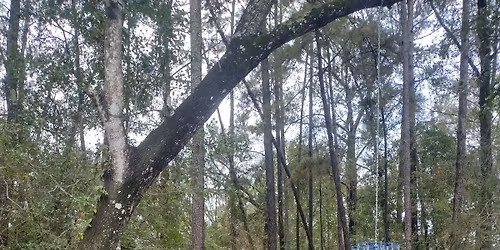 Lake Houston Ladies Disc Golf Clinic