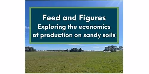 Feed and Figures (Tintinara)