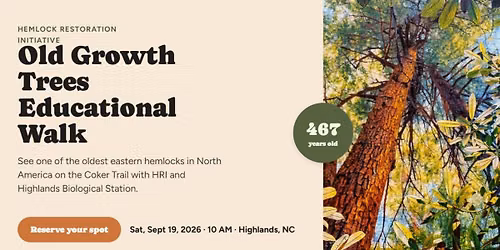 Hemlocks & Other Old Growth Trees: Educational Walk