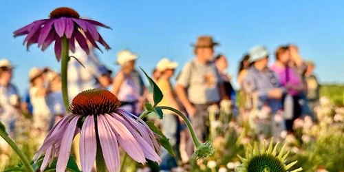 Solstice tour, KU Native Medicinal Plant Research Garden