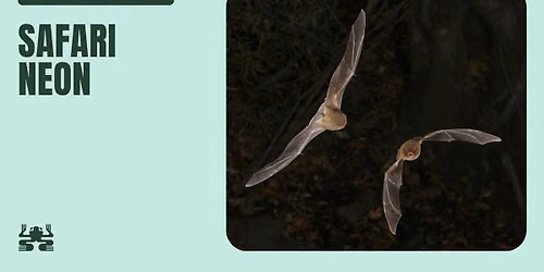 Safari Neon\ud83d\udd26 - Il trekking notturno tra pipistrelli e rocce che brillano nella Vena del Gesso.