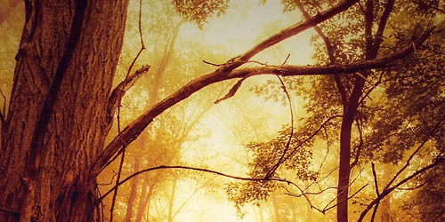 PAGAN on PARK - art show & market