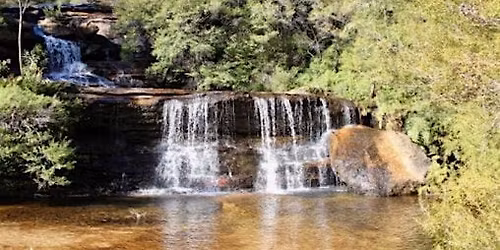 Darwin walking Tour, Wentworth falls