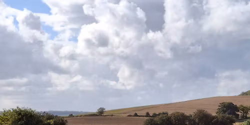 Group Gundog Training