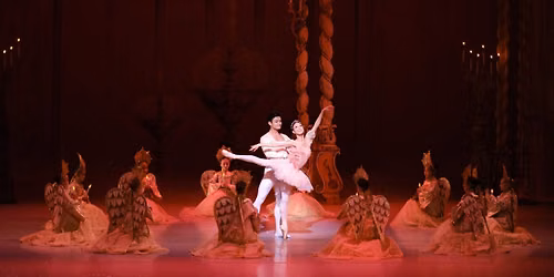 Delta Festival Ballet The Nutcracker