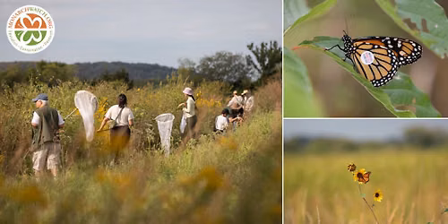 Monarch Watch Tagging Event