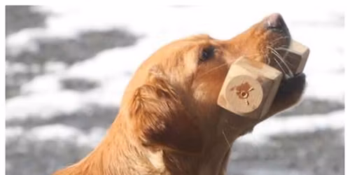 Apportkurs med Karen Sofie Skotheim