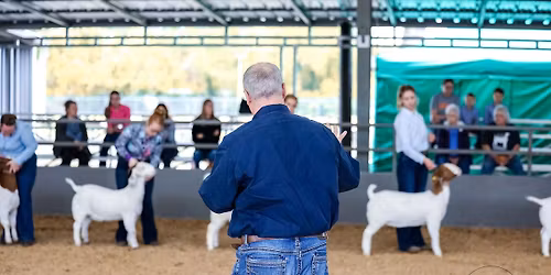 Swing Into Spring ABGA Show