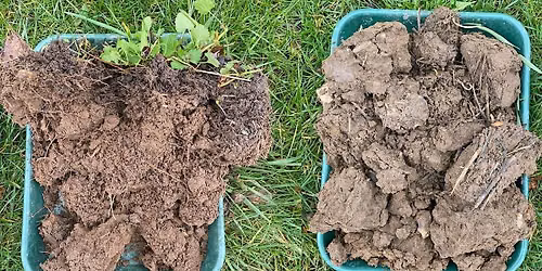 Soils & Cultivations: Adapting to the current market and weather challenges