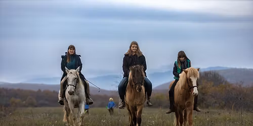 Nom\u00e1d lovas \u00e9s gyalogos v\u00e1ndort\u00fara izlandi lovakon a M\u00e1tr\u00e1ban