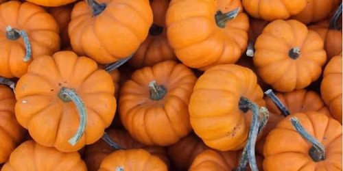 Halloween Magic