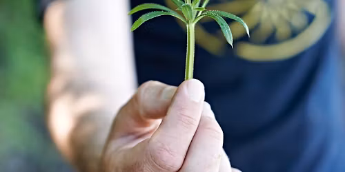 2 Hour Introduction to Foraging Course in Studland