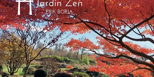 Splendeurs Automnales des \u00c9rables du Japon