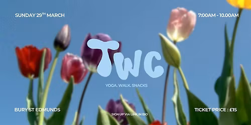 The Walking Collective - Spring in The Air