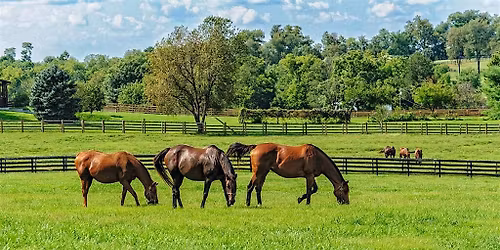 Equine Pasture Management Workshop