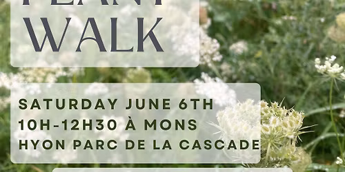 Wild Edible Plant Walk (in English)