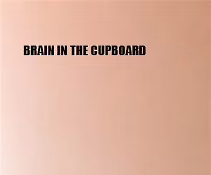 The Brain In The Cupboard Festival:  Summer 2026