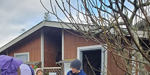 Winter Fruit Tree Pruning