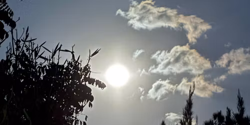 Fullmoon Woman Womb Cacao Ceremony \ud83d\udd25