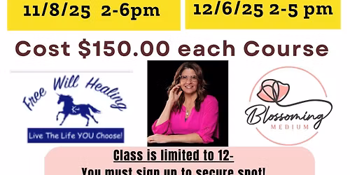 Usui Reiki I @ Free Will Healing in Washington, Utah