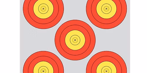 Indoor 660 5 spot Vegas target