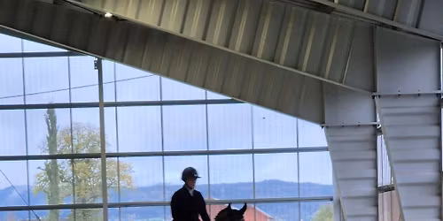 Working Equitation Treningshelg og Stevne\/Treningsstevne