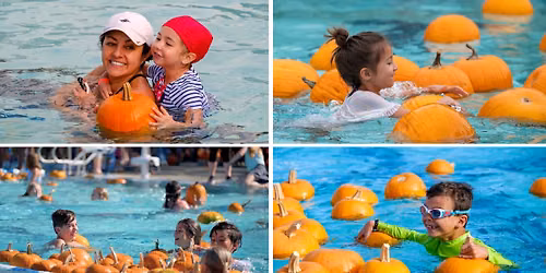 Floating Pumpkin Patch